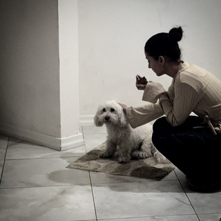 THE MARI |.