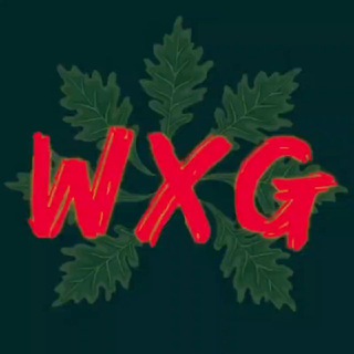 WIZARD X GROW CHANNEL