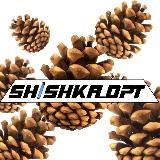 SHISHKA_OPT