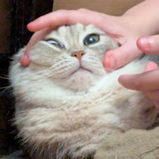 ВЛАД ЛОХ