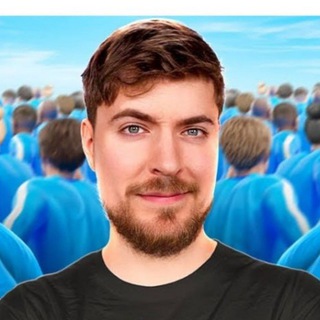 ФЕЙКОВЫЙ МИСТЕР БИСТ 