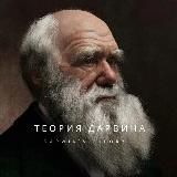 ТЕОРИЯ ДАРВИНА