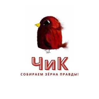 ЧИК|РОДИНА