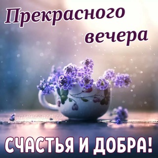 ОТКРЫТКИ С ПОЗДРАВЛЕНИЯМИ