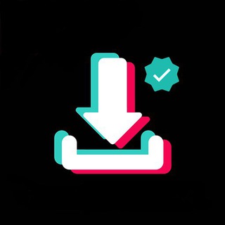 TIKTOK DOWNLOADER SAVE