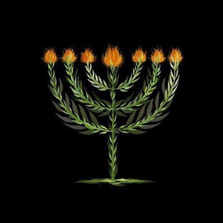 СВЯЩЕННИК АЛЕКСАНДР САТОМСКИЙ