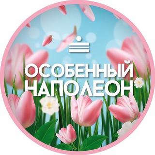 ОСОБЕННЫЙ НАПОЛЕОН КАЗАНЬ