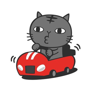 КАРШЕРСКИЙ КОТ