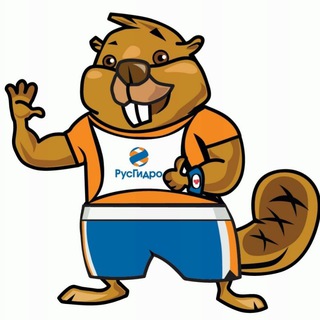 ЛЮДИ РУСГИДРО (RUSHYDRO_ACTIVITIES)