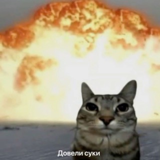 ПОХУПОХУМНЕ