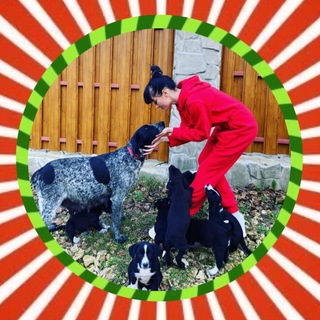 IM.LANA - ЛИЧНЫЙ КАНАЛ ВОЛОНТЕРА ПОМОЩЬ БЕЗДОМНЫМ ЖИВОТНЫМ