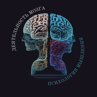 ДЕЯТЕЛЬНОСТЬ МОЗГА | НОВОЕ МЫШЛЕНИЕ