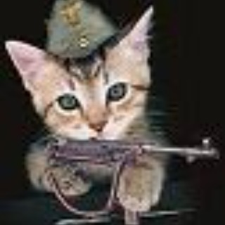 ПИШЕТ БОЙЦОВЫЙ КОТ МУРЗ (KENIGTIGER)