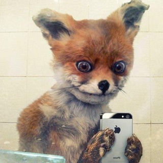 ПРИКОЛЫ МЕМЫ АНЕКДОТЫ