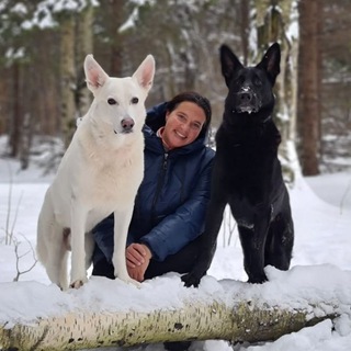DOGTRENING