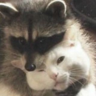 МАКСИМ НИКОЛАЕВИЧ ЖЕГАЛИН