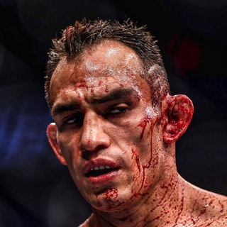 BLOODY BETS BY CLARINO СТАВКИ И ПРОГНОЗЫ НА MMA
