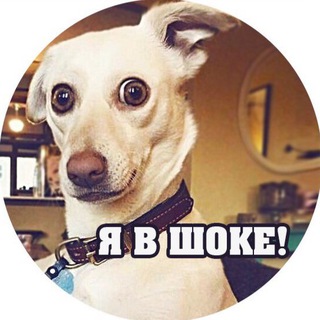 Я В ШОКЕ!