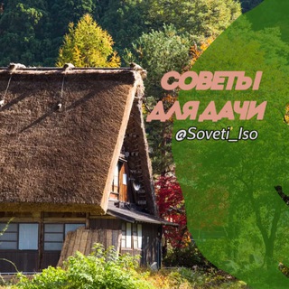 СОВЕТЫ ДЛЯ ДАЧИ