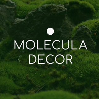 MOLECULA HOME DECOR