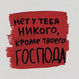 КНИЖНЫЙ ЛИС)