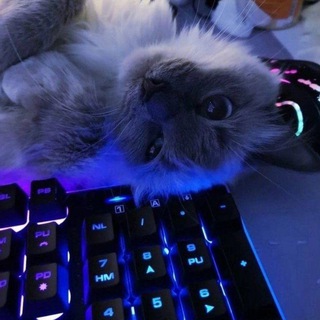 PRXWLQ