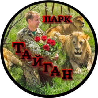 ГАДАЛКА ПРЕДСКАЗАНИЕ РАСКЛАДЫ ТАРОЛОГИЯ