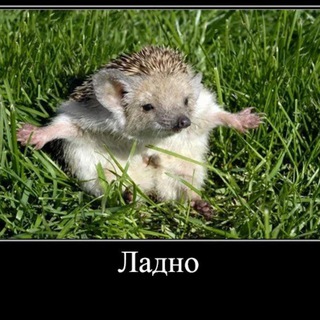 KYKYSHKA_KY_KY