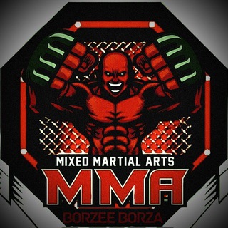 BORZEEBORZA UFC