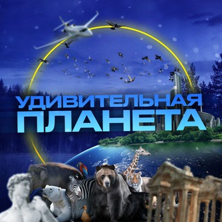 УДИВИТЕЛЬНАЯ ПЛАНЕТА