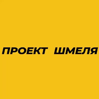 ПРОЕКТ ШМЕЛЯ - КАТЯ КОНАСОВА