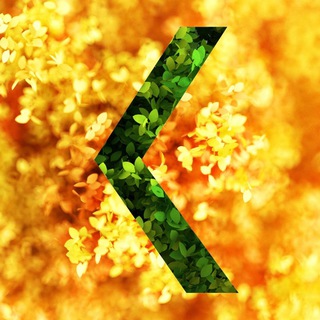 КУЛЬТУРА24