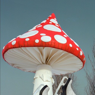 POLYAIZDEREVKI