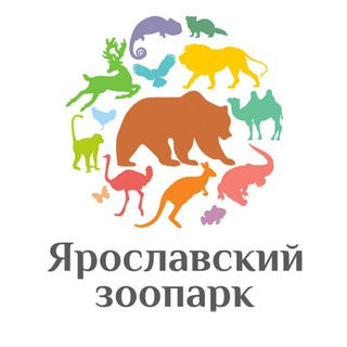 ЯРОСЛАВСКИЙ ЗООПАРК