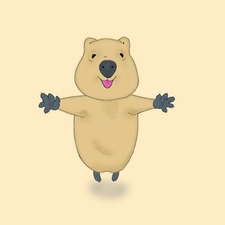 QUOKKA ORIGINAL