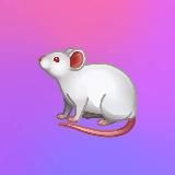  КРЫСИНОЕ ЛОГОВО