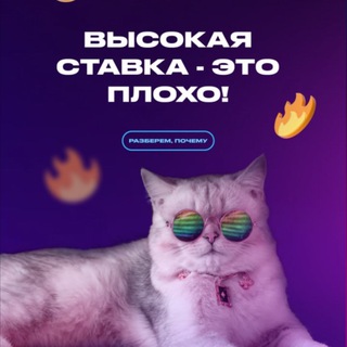 ТВОЙ МЕНЕДЖЕР ПП