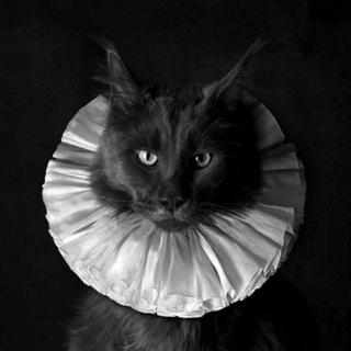 ПРОСТО О ЖИЗНИ И ЗДОРОВЬЕ С МАРИНОЙ КОТИЕВОЙ