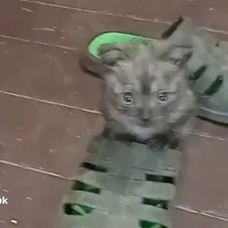 БИЗНЕС МЕН ТУДА СЮДА