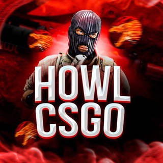 HOWL CS2| ОБ ИНВЕСТИЦИЯХ