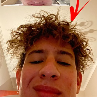 MRCHELLOSQ