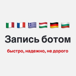VFSGLOBAL - ЗАПИСЬ БОТОМ ФРАНЦИЯ