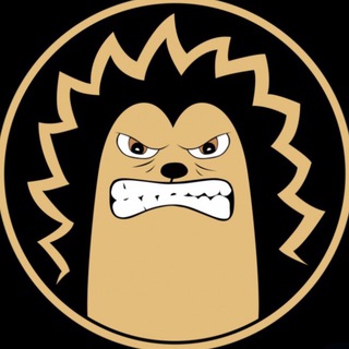 YOZHYK