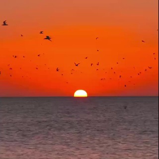 РАССВЕТЫ И ЗАКАТЫ SUNRISE SUNSET