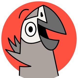 @VINCI_AFRICANGREY