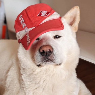 SOBAK_SPARTAK