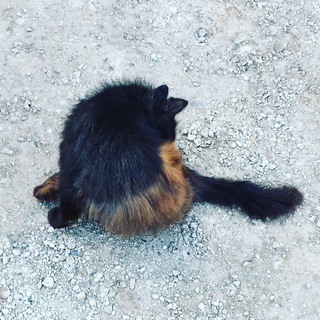 ЧАТИК