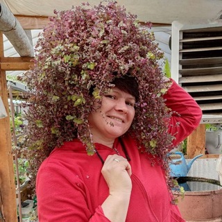 АННА ПИРМАТОВА