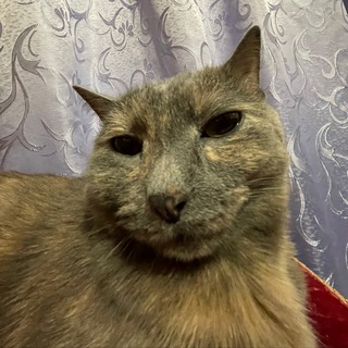 БЛОГ ЛАРИСЫ