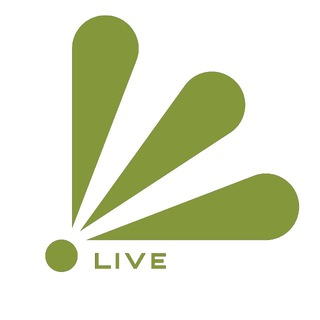ЗАВОЛЖЬЕ LIVE